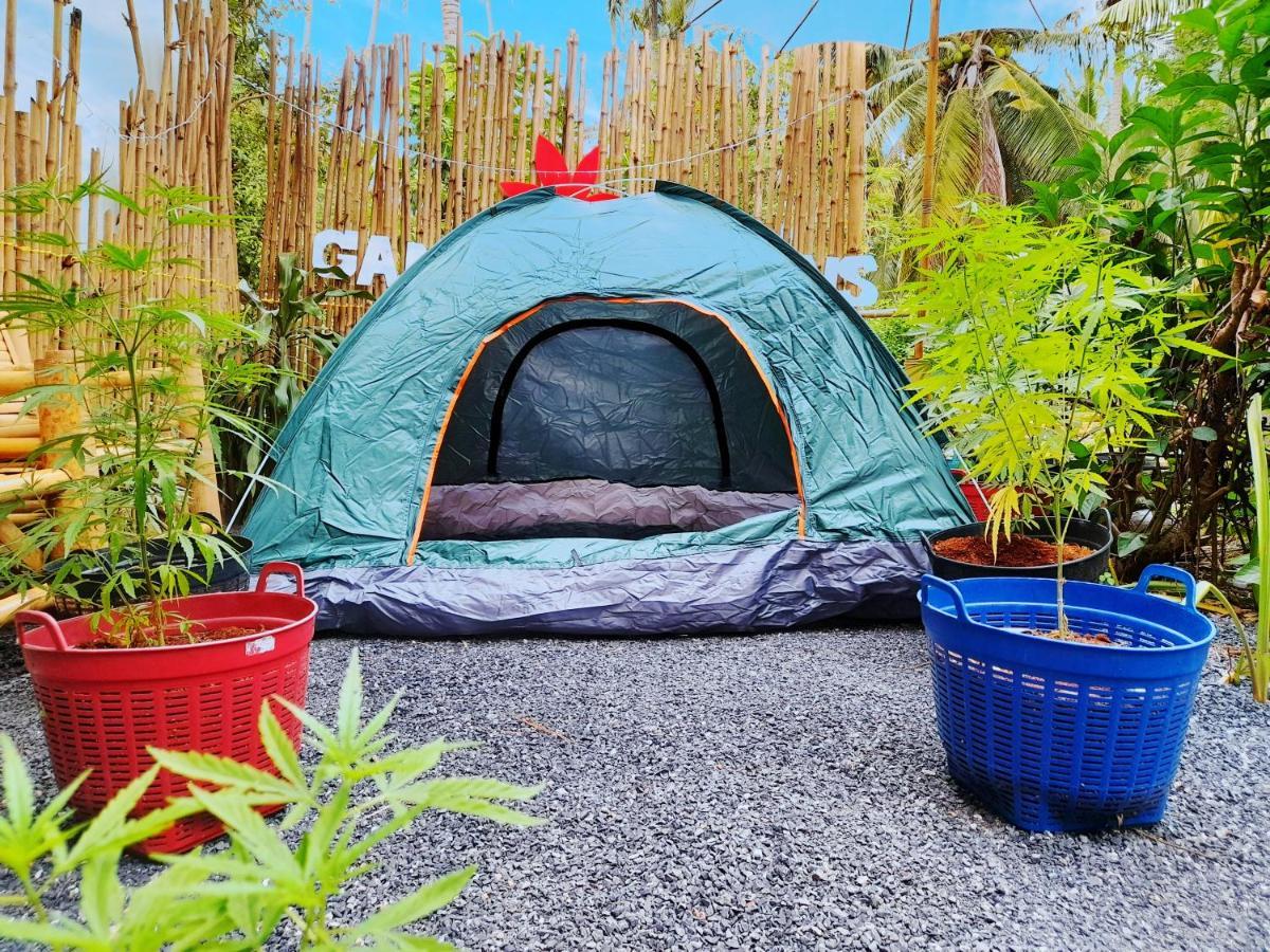 Ganja Gardens Camping Hotell Ban Nua Eksteriør bilde